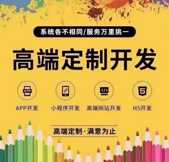 抖音严麒网络开发定制解决方案：解锁企业数字化转型的专属密码