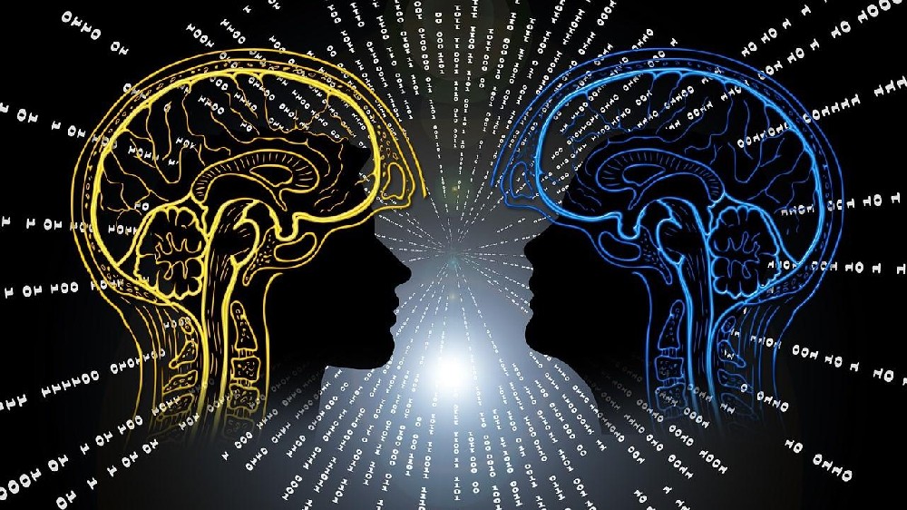 流量裂变时代，燕雀光年如何用 AI 重构网站生命力